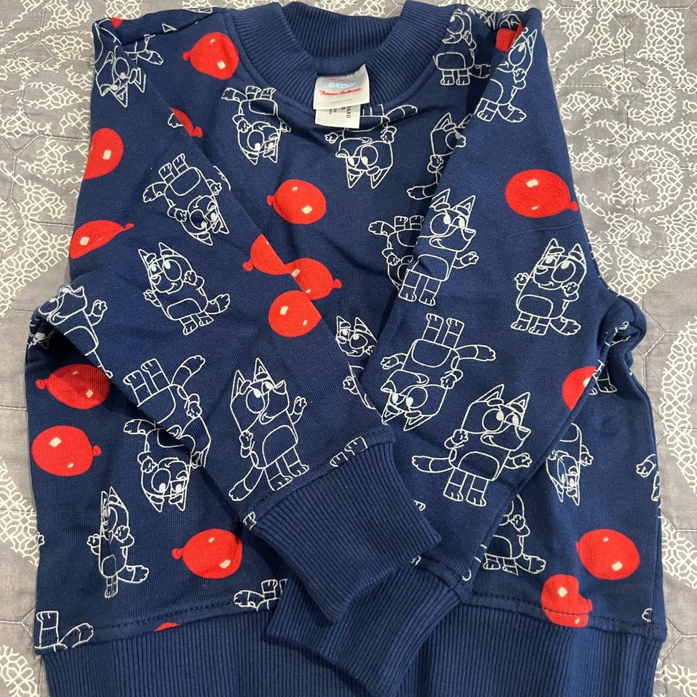 Hanna Andersson Bluey sweatshirt